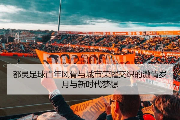 都灵足球百年风骨与城市荣耀交织的激情岁月与新时代梦想
